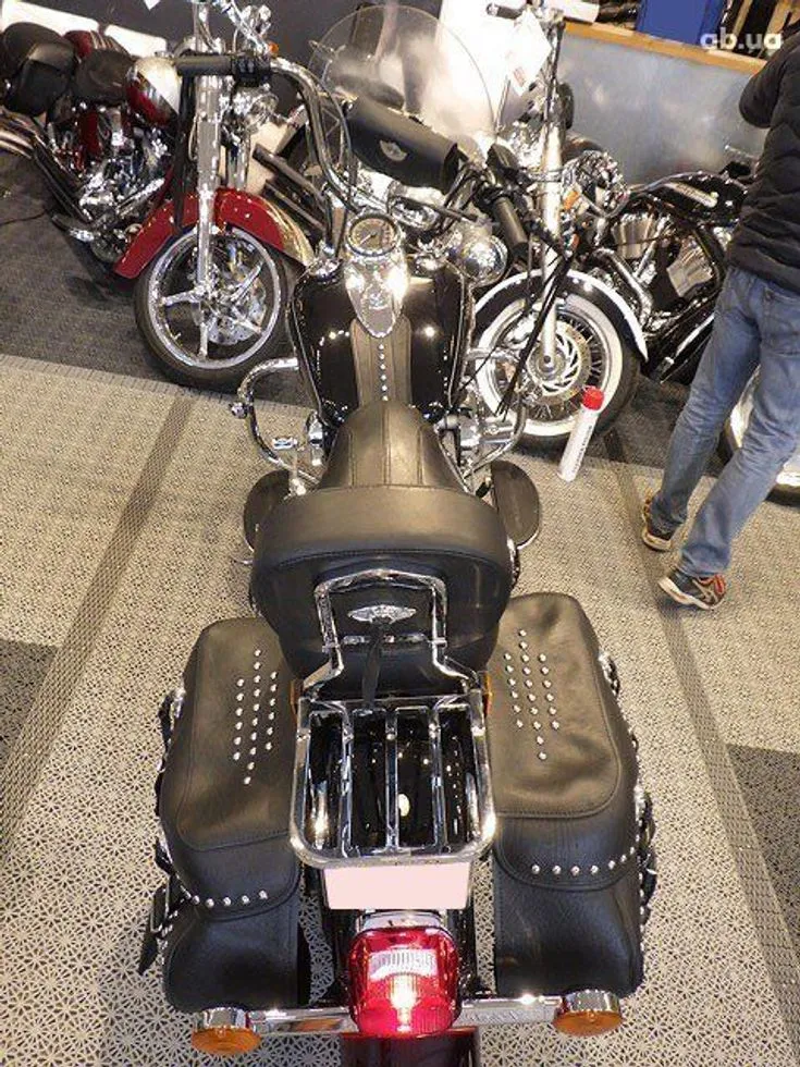 Harley-Davidson FLSTC  Image 4